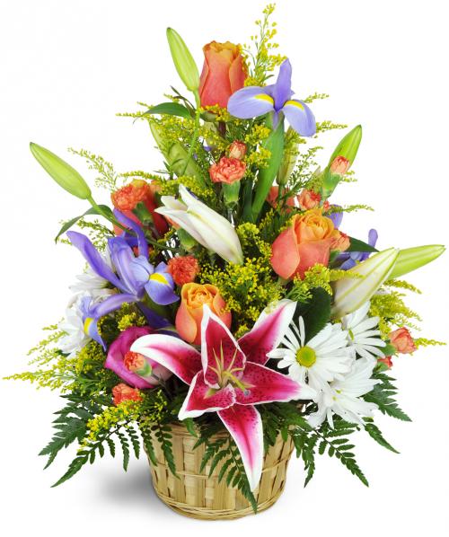 colorful arrangment of pink, coral, purple, and white